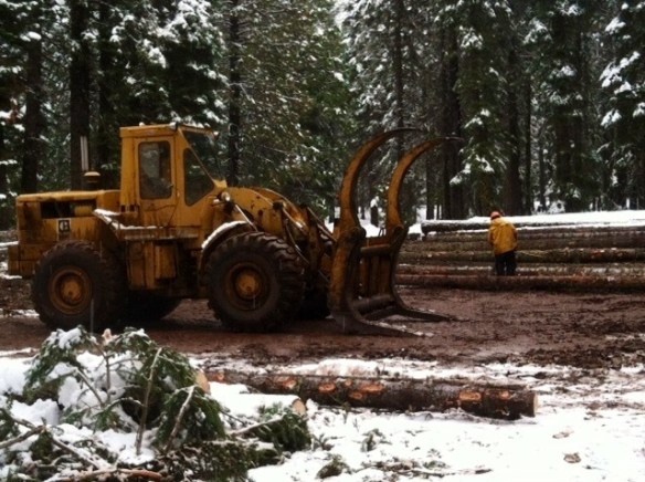 966, loader, logging, winter logging, landing chaser, logs, poles