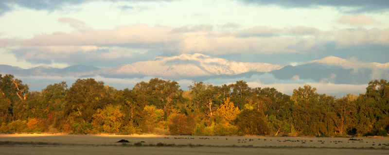 Bully Choop, snow, first snow