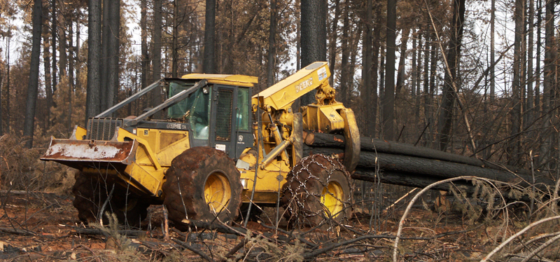 Cat skidder, Cat, skidder, skidding, logs, logging