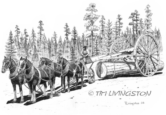 horse-logging sm c Logging, Horses, horse logging, skidding, historic logging