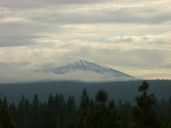 Magee Peak, volcano, mists, pines, nature, photography