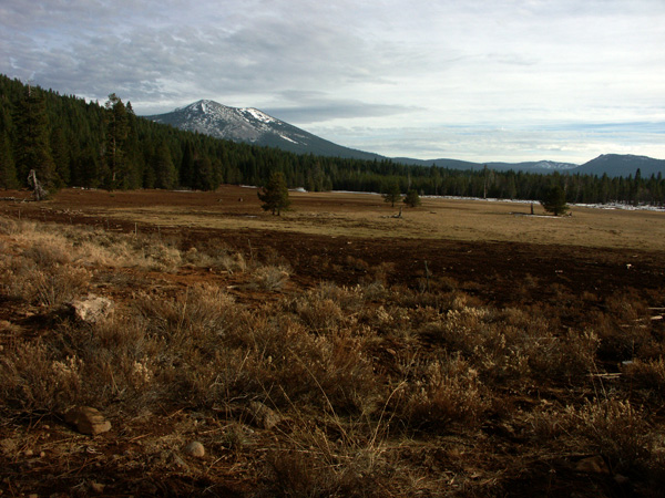 Magee Peak, volcano, pines, nature, photography