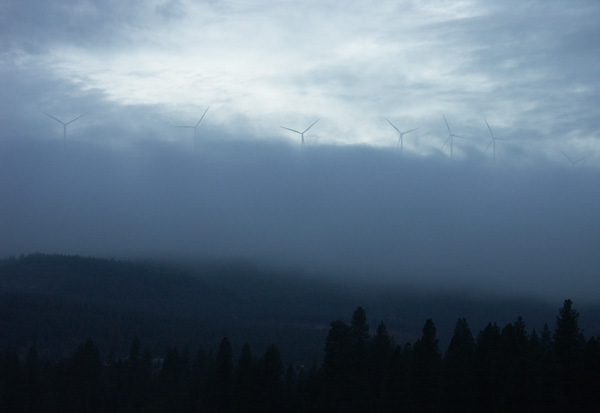 wind turbine, clouds, forest