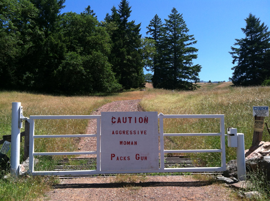 Security Gate, photography
