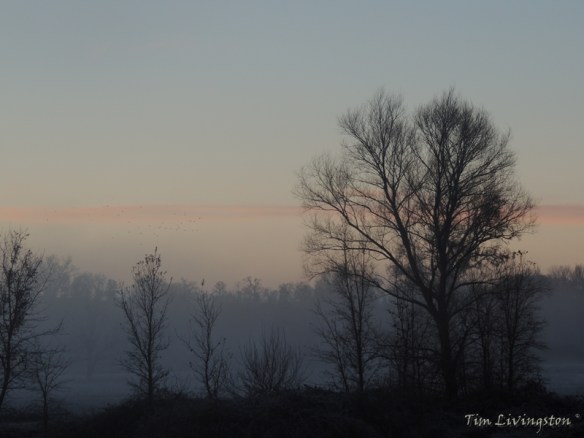 Don't go walking in those spooky old woods alone.