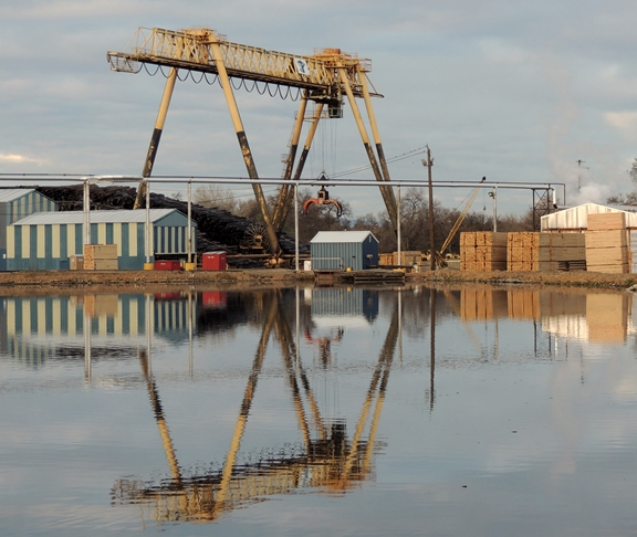 The old log pond....otter pond.