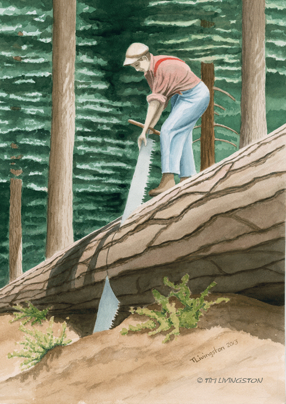 Watercolor, watercolour, logging, historic, crosscut saw, misery whip, auction, art
