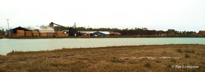 Arcata. sawmill, coast, photography