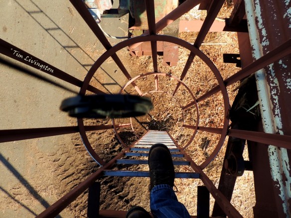 Pole Plant, Chip, hopper, ladder