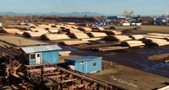 pole plant, poles, industrial, photography