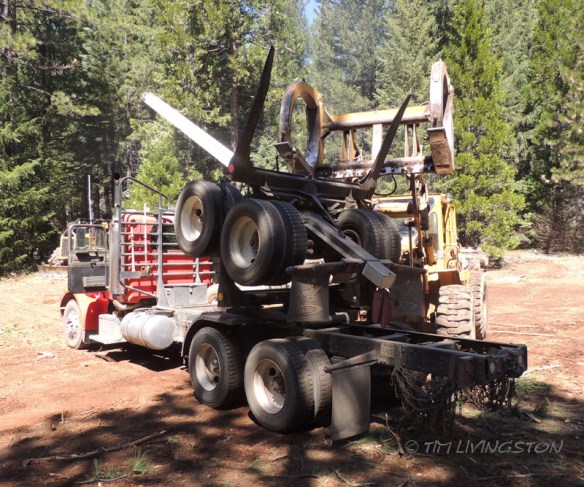 log dolly, Front-end loader, loader, logging, logger, photographyy