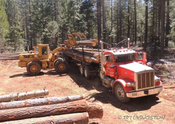 Front-end loader, loader, logging, logger, photography