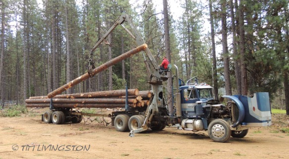 Self-loading logging truck, loader, logging, logger, photography