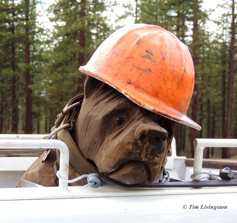 chainsaw carving, dog carving, logger's dog