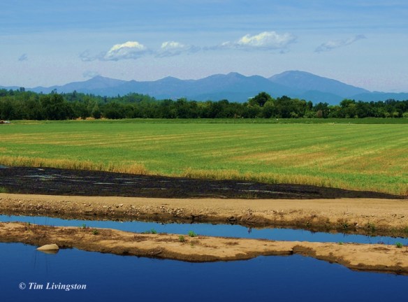Another sunny day and a view out over the back forty.