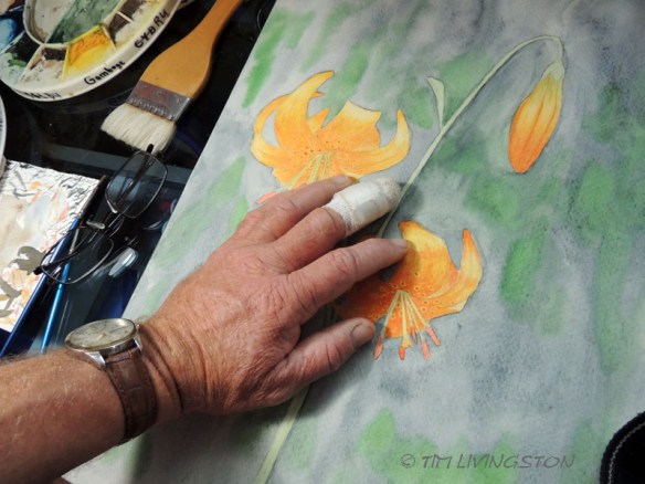 Forester Artist, watercolor, lillies
