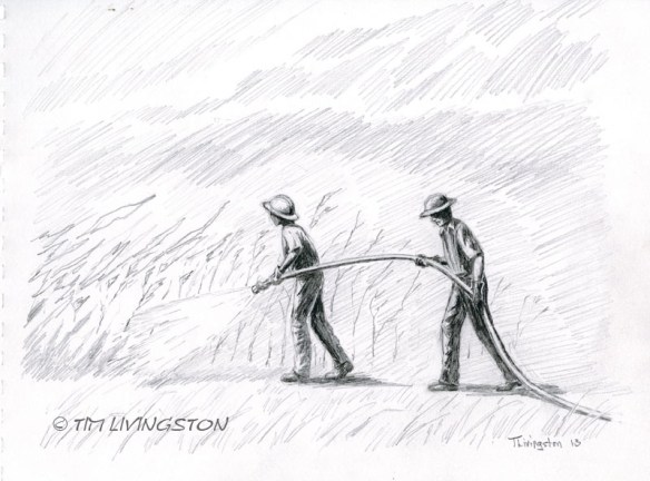 pencil, sketch, drawing