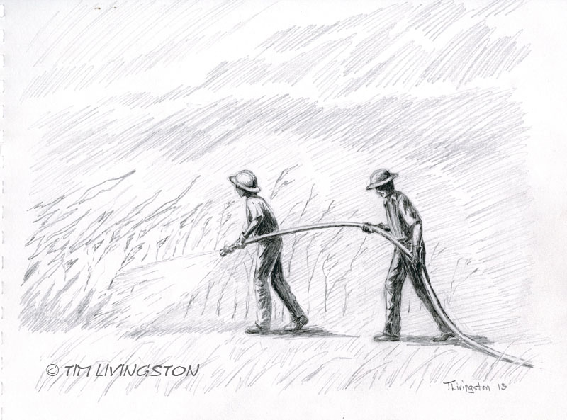 pencil, sketch, drawing