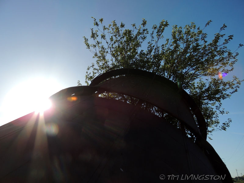 teepee burner, bee hive burner, photography, sawmill