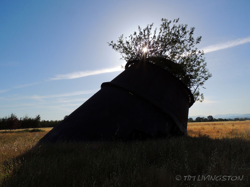 teepee burner, bee hive burner, photography, sawmill