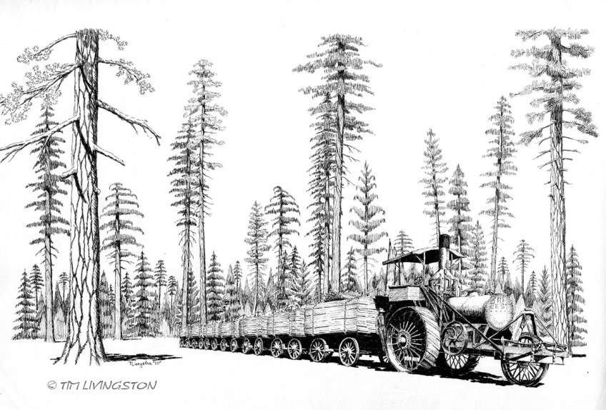 Pen and ink, traction engine, historic, logging, lumber