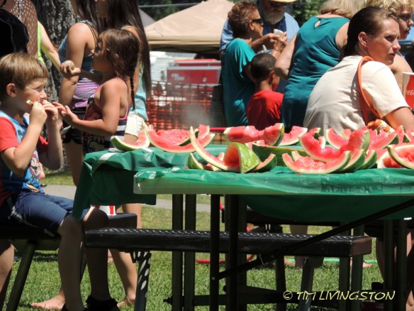 Lumberjack Fiesta, logging sports, timber sports, lumberjack sport, picnic, Americana, McCloud, watermelon eating contest, horseshoes, softball, Red Tail Publishing