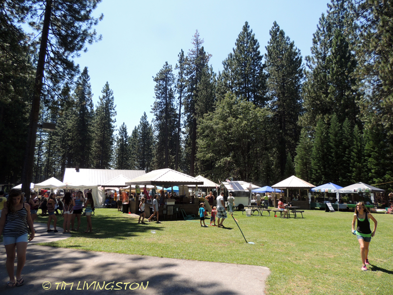 Lumberjack Fiesta, logging sports, timber sports, lumberjack sport, picnic, Americana, McCloud, watermelon eating contest, horseshoes, softball, Red Tail Publishing