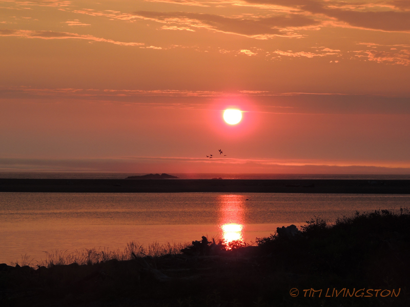 sunset, Smith River, nature, photography
