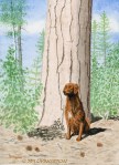watercolor, watercolour, Ponderosa pine, golden retriever