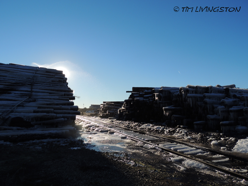 log deck, logs, sawmill