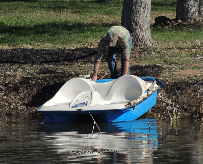 yardwork, forester, flames