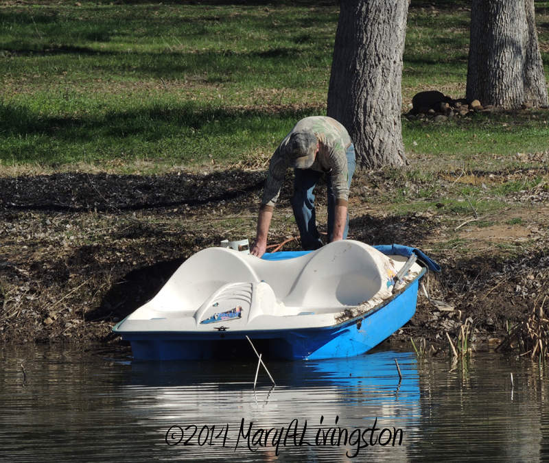 yardwork, forester, flames, fire
