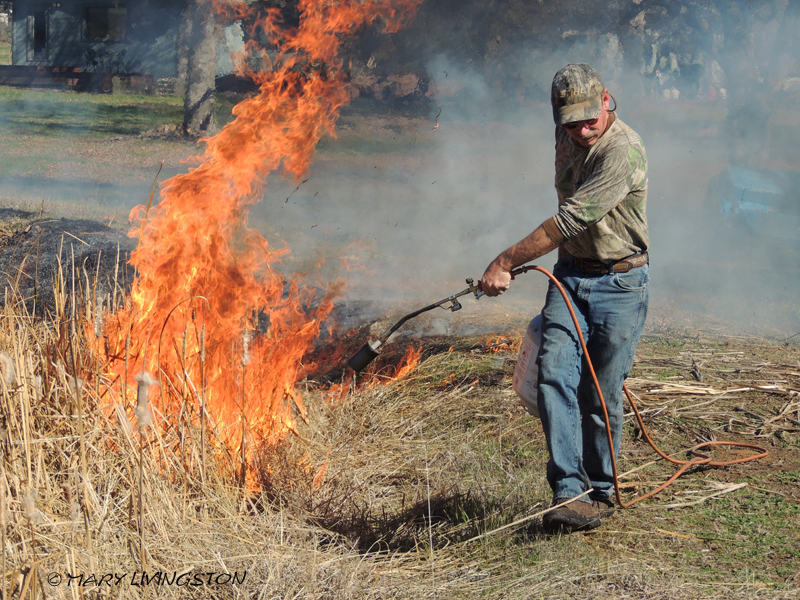 yardwork, forester, flames