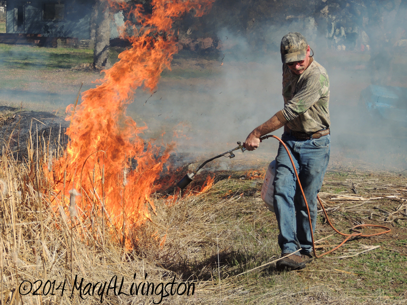 yardwork, forester, flames, fire