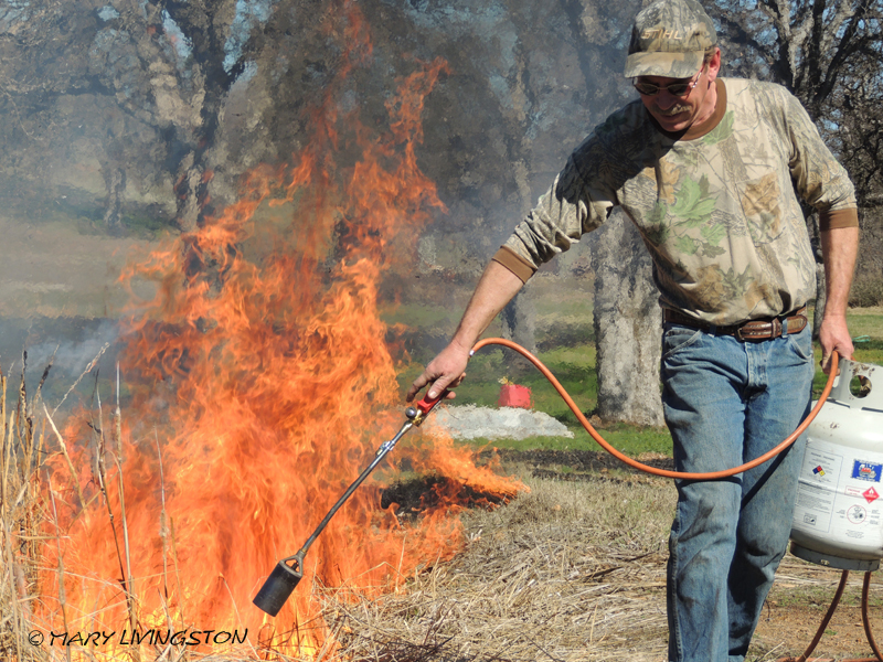 yardwork, forester, flames, fire