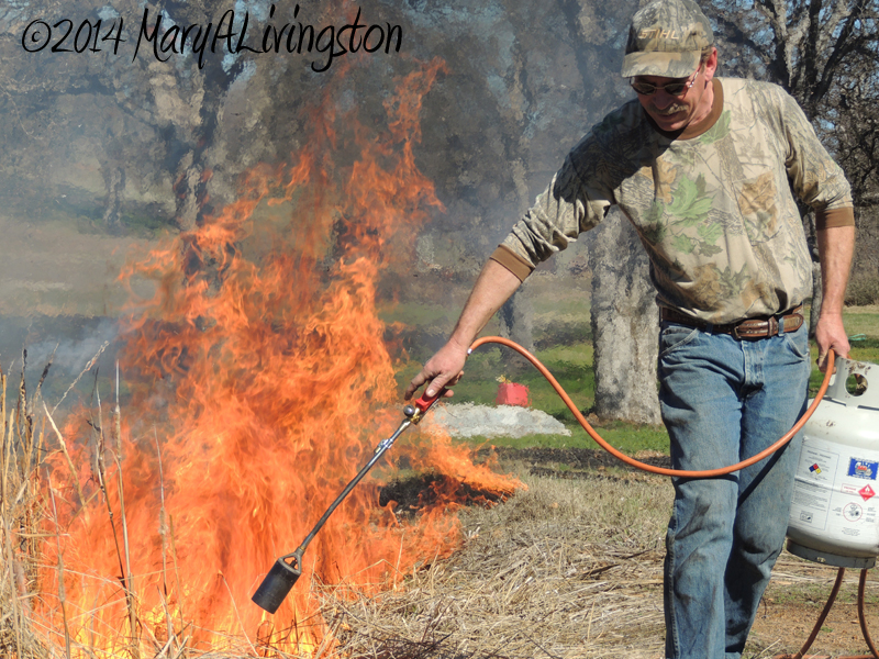 yardwork, forester, flames, fire