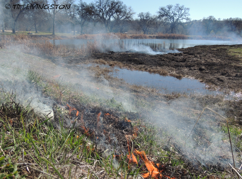 yardwork, forester, flames, fire