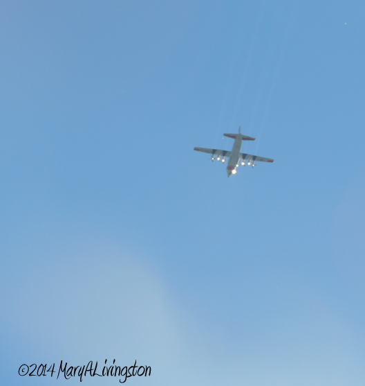 yardwork, forester, flames, fire, AIR TANKER