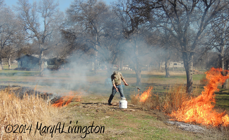 yardwork, forester, flames, fire