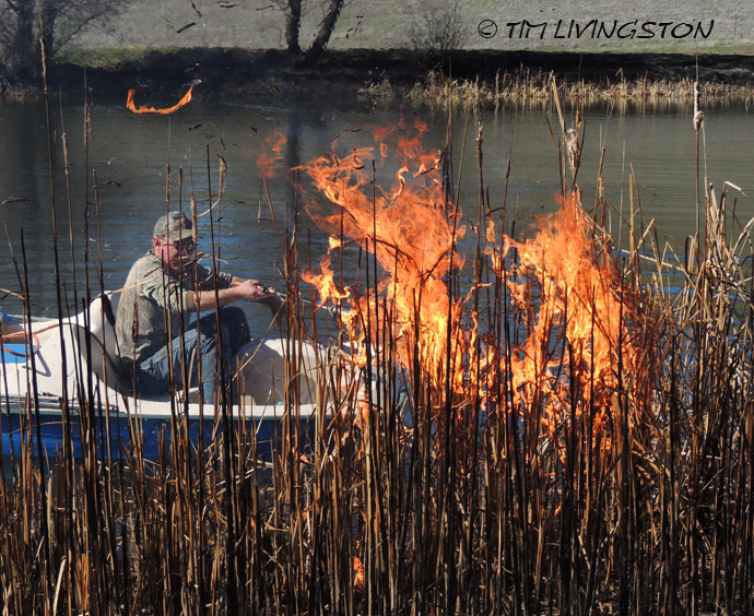 yardwork, forester, flames