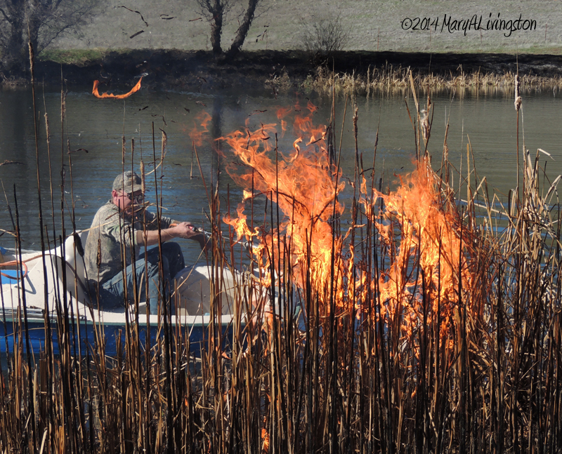 yardwork, forester, flames, fire