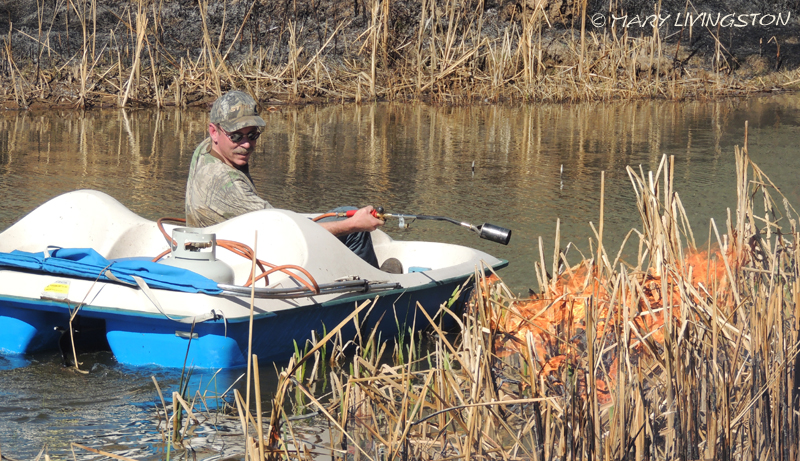 yardwork, forester, flames