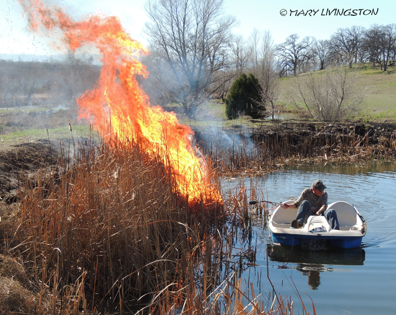 yardwork, forester, flames