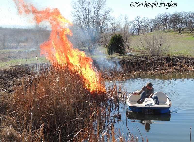 yardwork, forester, flames, fire