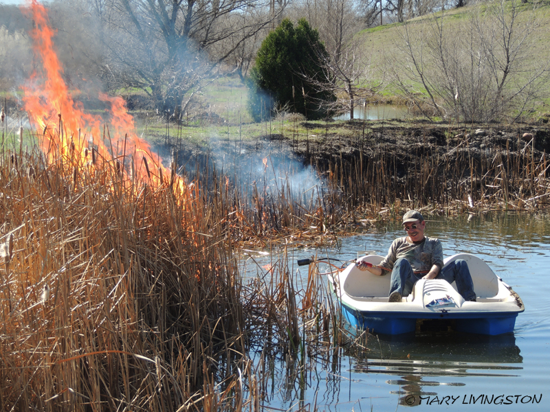 yardwork, forester, flames