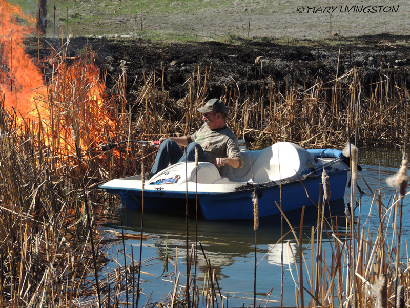 yardwork, forester, flames