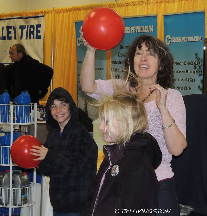 co-generation, electricity, electrostatic precipitater, Sierra Cascade Logging Conference