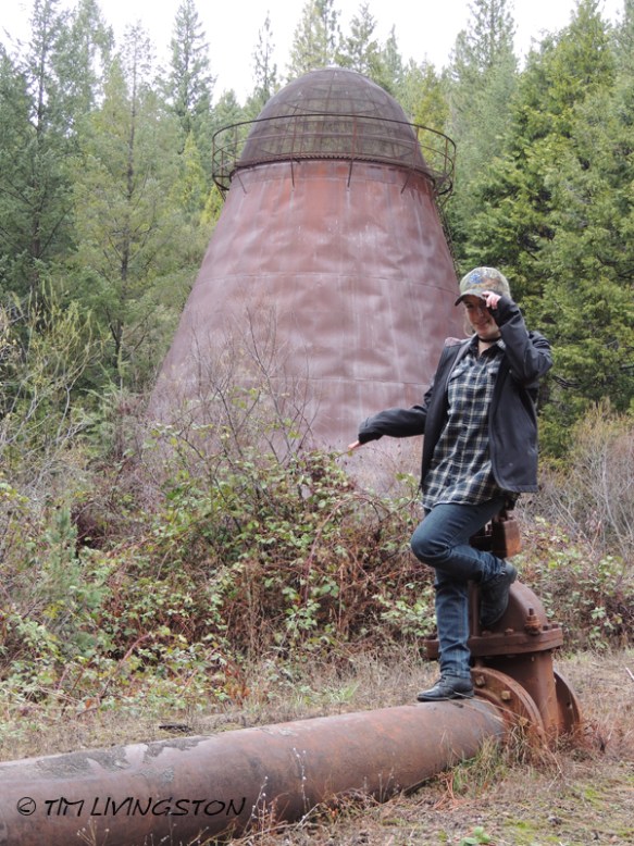 Forestry, mentoring, education