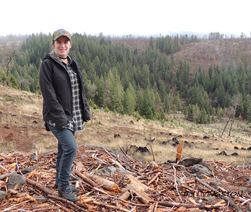 Forestry, mentoring, education