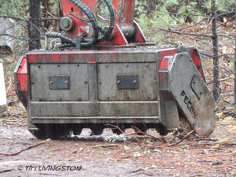 forestry, masticator, fuelbreak